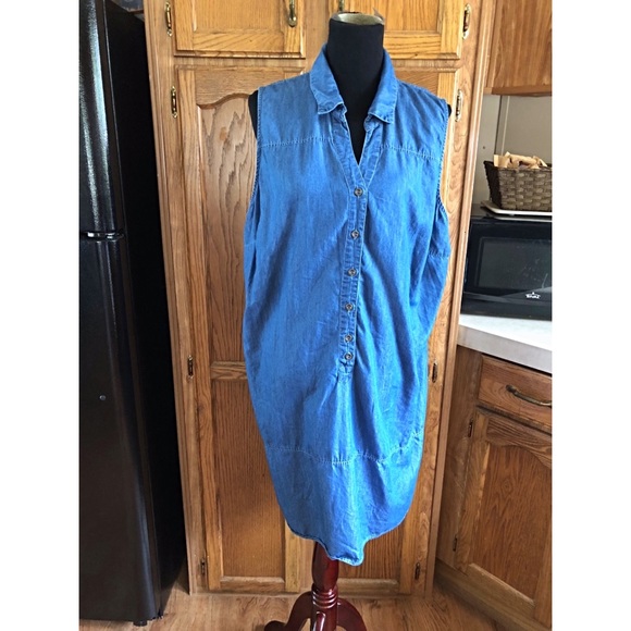 denim dress size 20